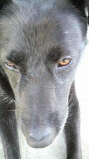 2010080716000000.jpg